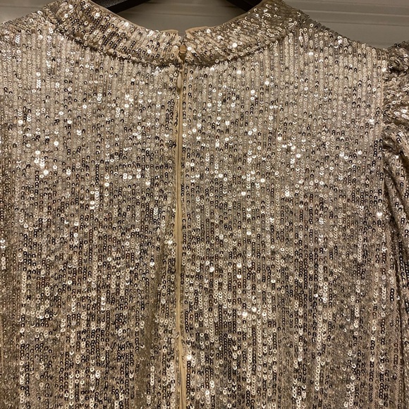 Elegant Sequin Dress - Picture 5 of 6